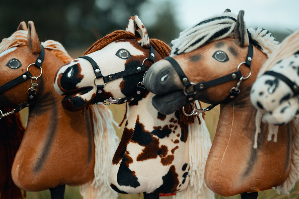 Hobby Horses met zwarte Halsters tijdens de Amerikaanse Hobby Horse-kampioenschappen