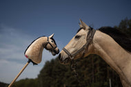 Dun horse in a leather halter nose to nose with its dappled Hobby Horse copy with a black mane, under a blue sky