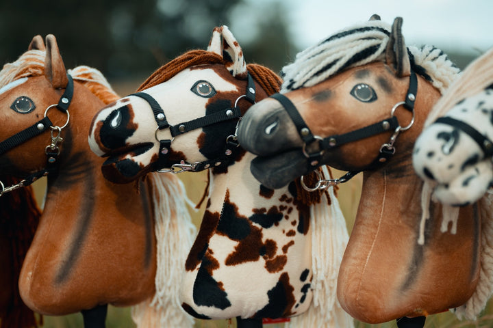 Hobby Horses portant des licols noirs aux Championnats américains de Hobby Horse
