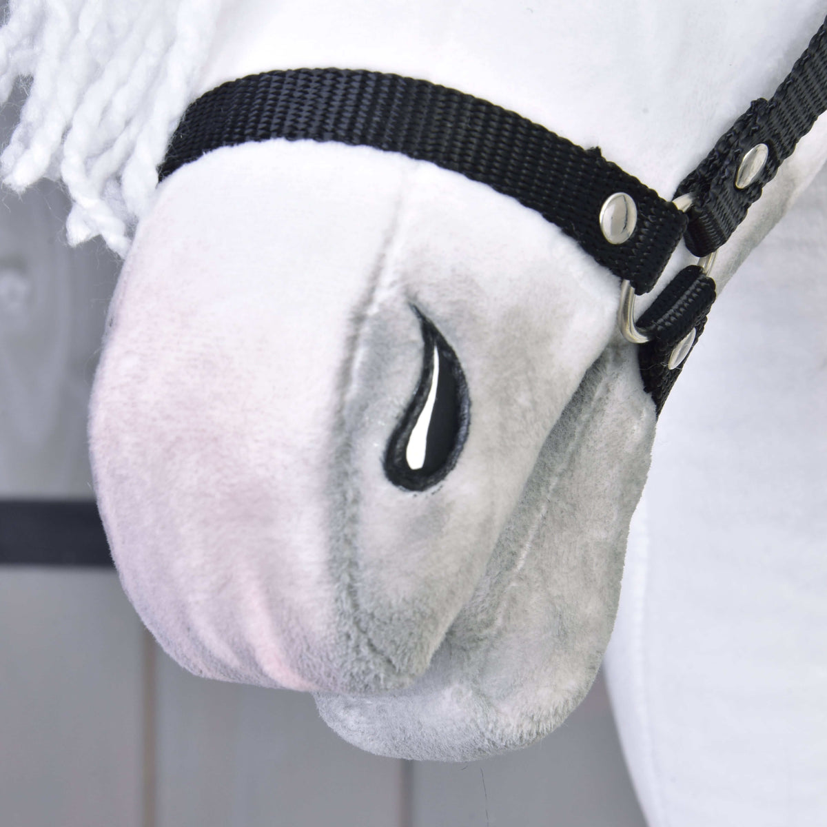 Gros plan sur le bout du nez légèrement ombré de gris du Hobby Horse Elektra, naseau noir cousu et muserolle du licol noir