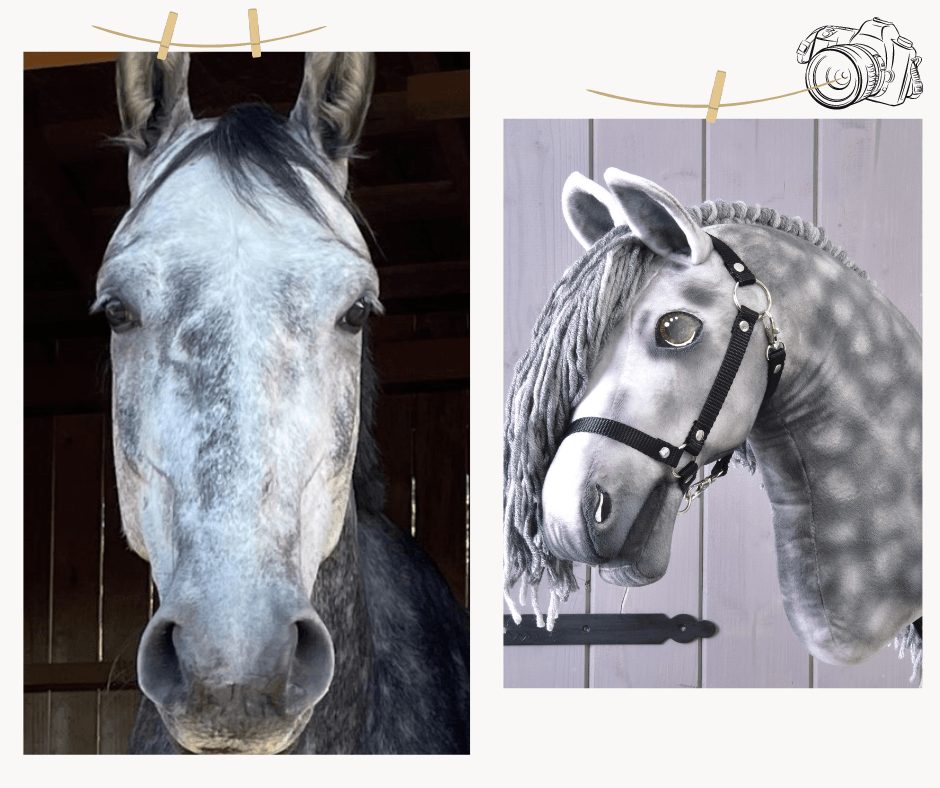 Een schimmel en zijn gevlekte kopie als Hobby Horse naast elkaar, met grijze manen van garen en zwarte halster