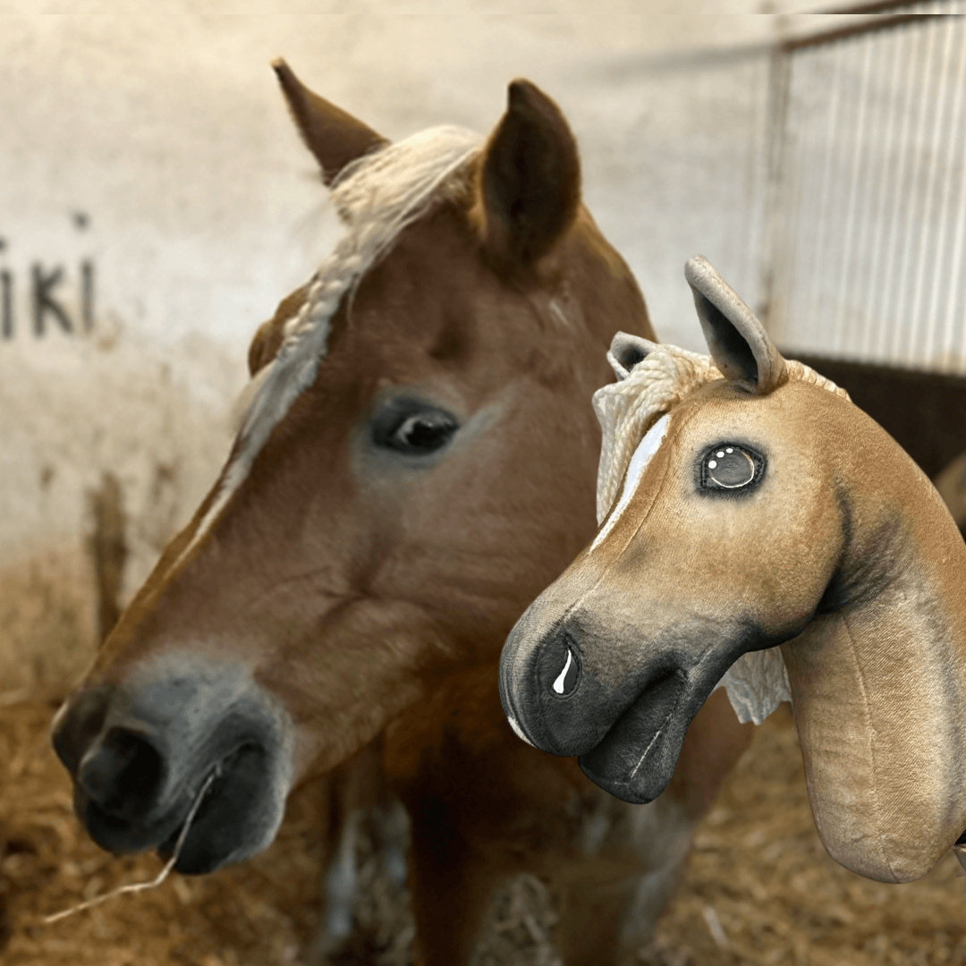 Vos met lichte gevlochten voorlok in een stal naast een lichtbruine Hobby Horse met lichte manen