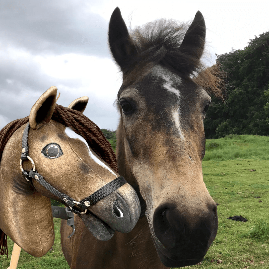 Bruin paard met witte ster in een groene wei naast een goudbruine Hobby Horse met gevlochten manen en zwarte halster