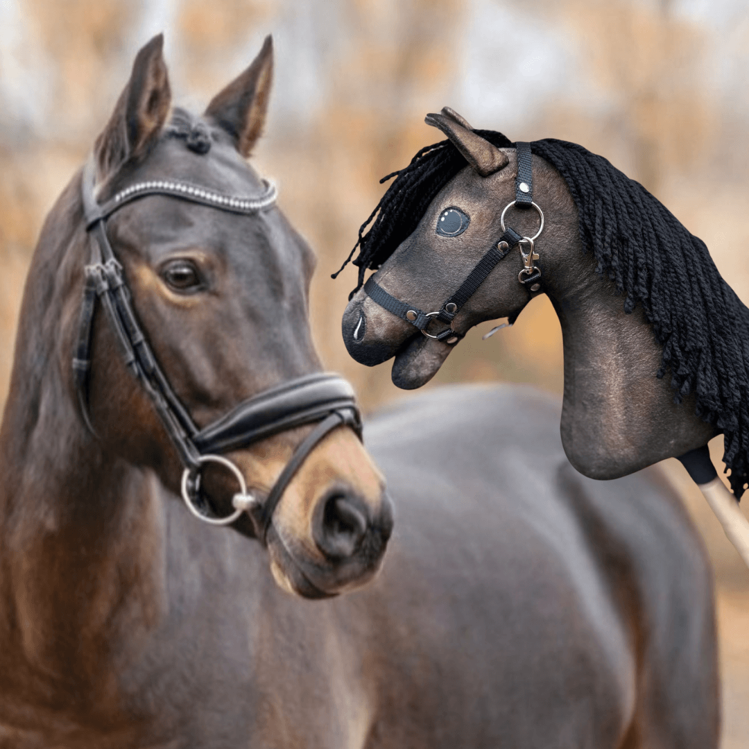 Donkerbruin paard met hoofdstel en glinsterende frontriem naast zijn donkerbruine kopie als Hobby Horse met zwarte manen van garen