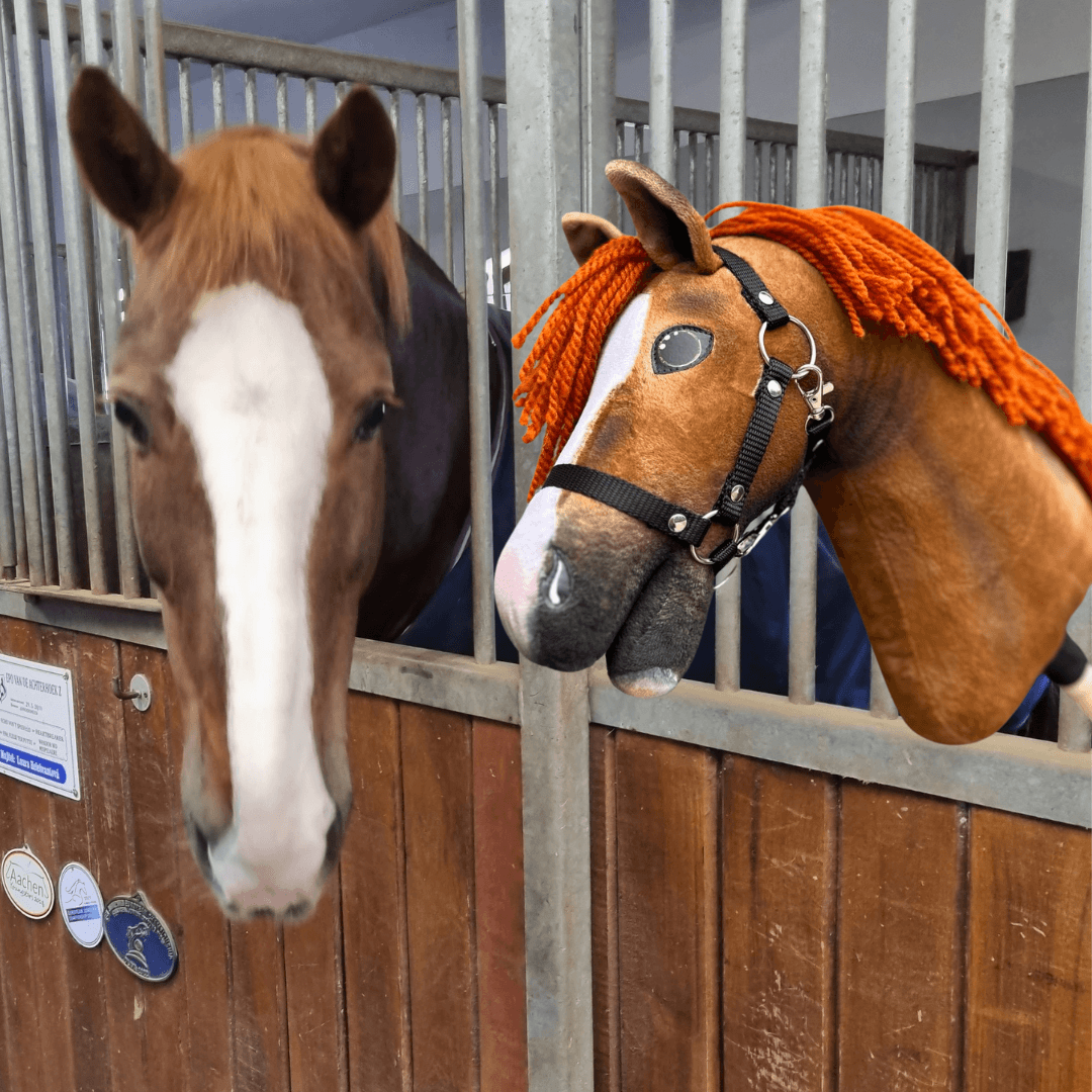 Vos met brede bles kijkt uit zijn box naast een voskleurige Hobby Horse met oranje manen van garen