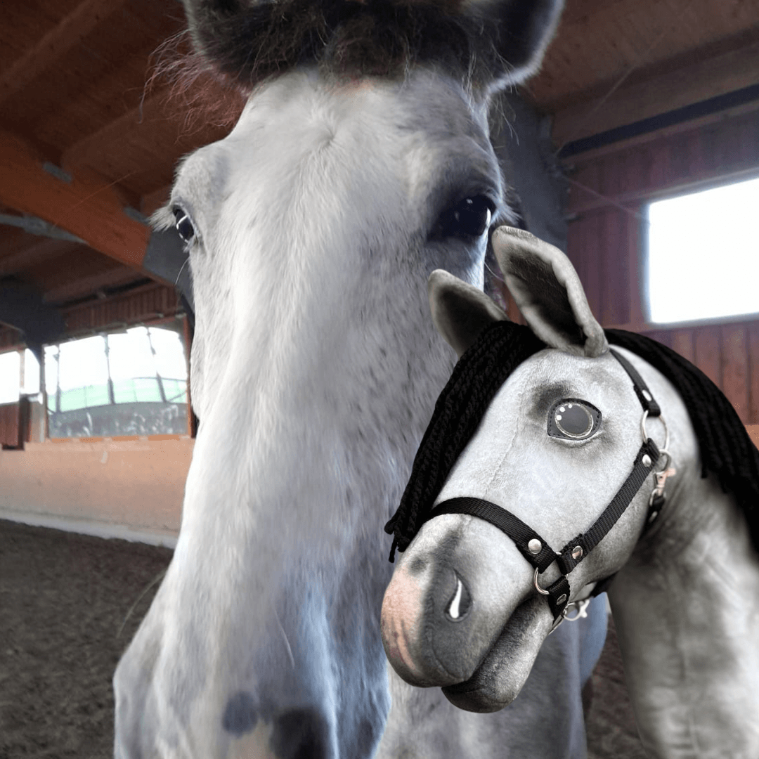 Schimmel in een binnenbak met vooraan zijn kopie als Hobby Horse, geappeld met zwarte manen van garen en zwarte halster
