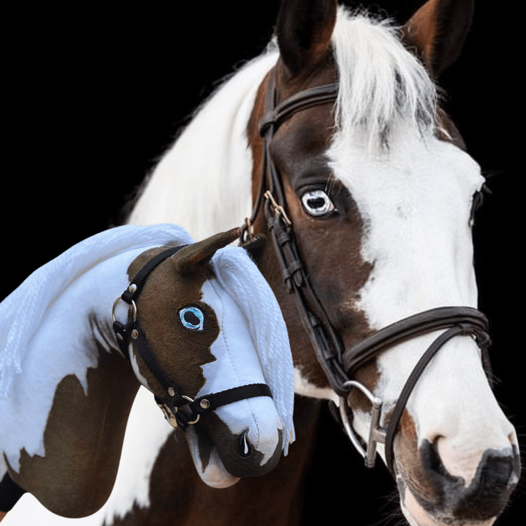 Brown and white horse with a blue eye beside its matching Hobby Horse with blue eyes and a white mane on black