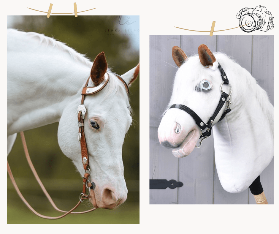 Een wit paard met bruine oren en zijn witte kopie als Hobby Horse met bruine oren en zwarte halster naast elkaar