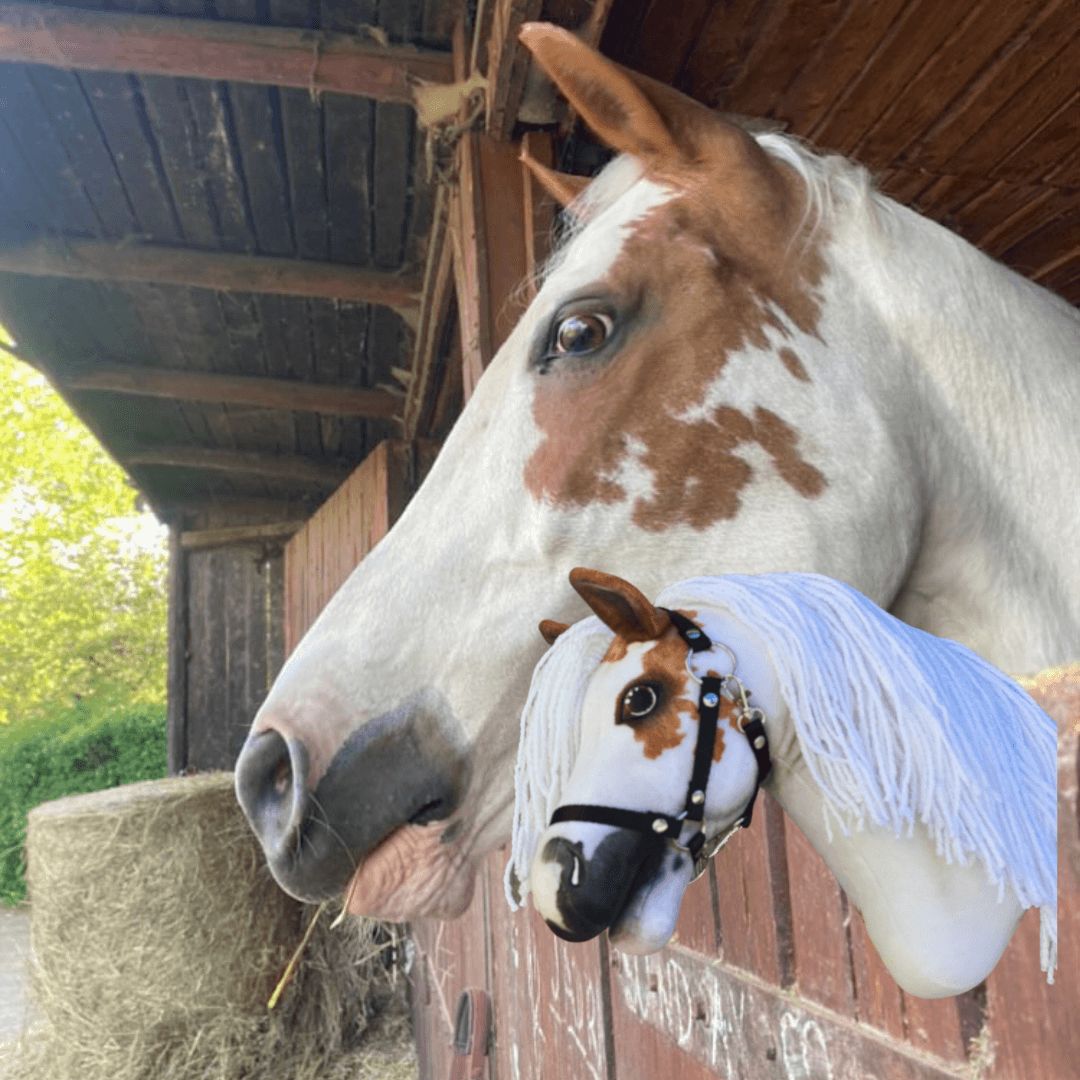 Wit met vos bont paard kijkt uit een houten stal boven zijn Hobby Horse met dezelfde aftekening en witte franjemanen