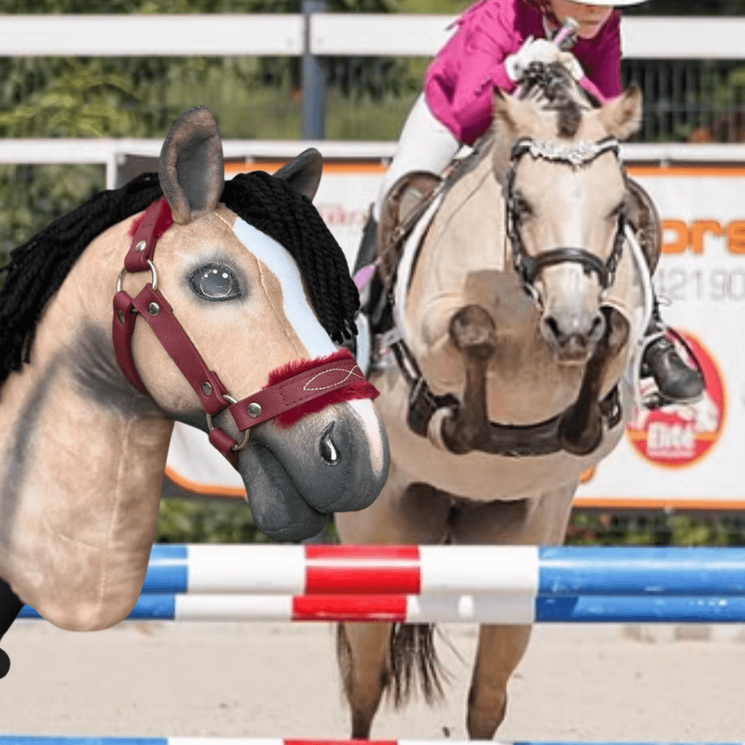 Valkkleurige Hobby Horse met zwarte manen van garen en bordeauxrode halster voor het echte paard dat over een rood-wit-blauwe hindernis springt