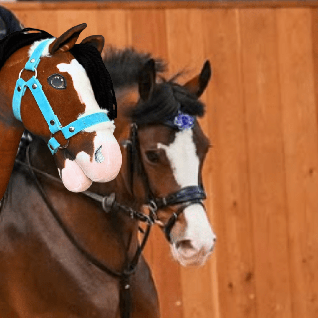 Bruin paard met bles en een blauwe bloem aan het hoofdstel naast een bruine Hobby Horse met roze neus en lichtblauwe halster