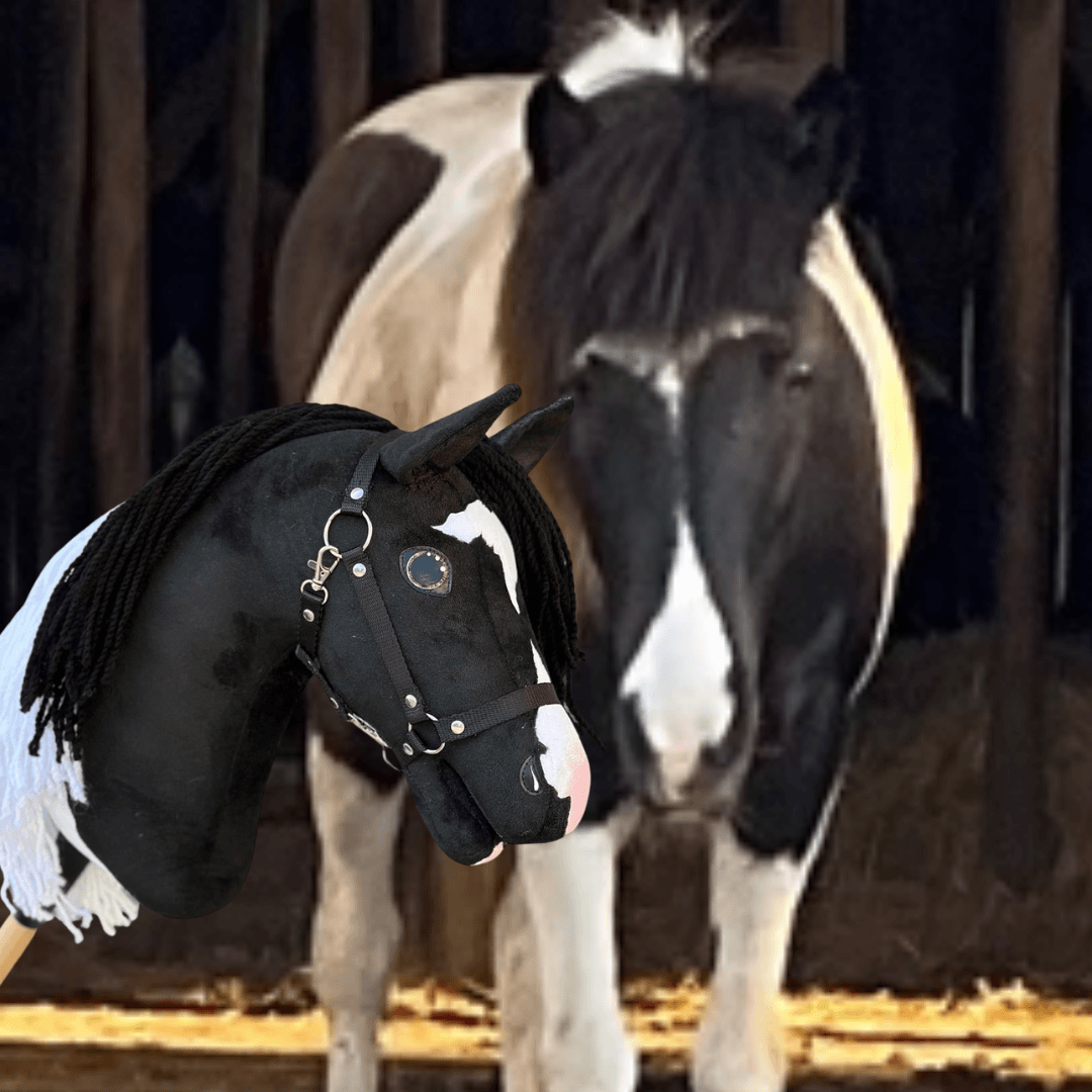 Zwart-witte pony in een stal achter zijn kopie als Hobby Horse, zwart met witte bles, zwarte manen van garen en zwarte halster