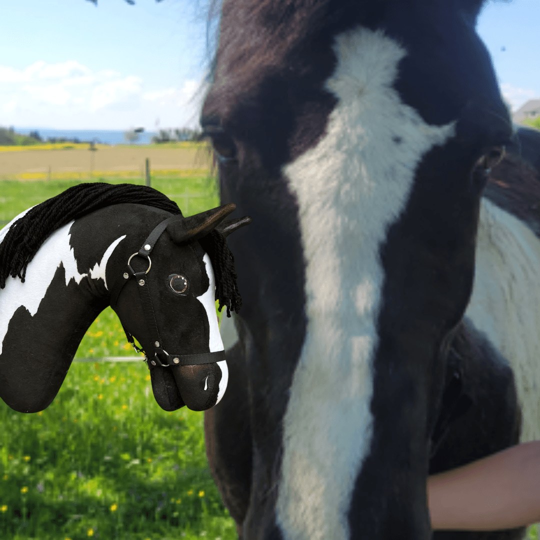 Zwart-wit paard in een wei met paardenbloemen naast zijn zwart-witte kopie als Hobby Horse met zwarte manen van garen