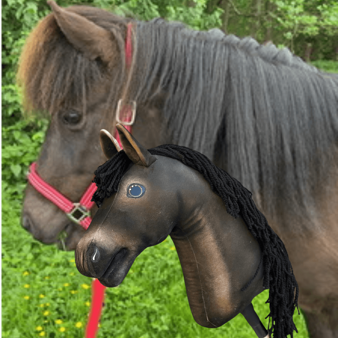 Donkerbruine pony met lange manen en rode halster in het groen naast een donkerbruine Hobby Horse met zwarte manen van garen