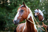 LarDen Hobby Horse based on your photo, a chestnut and white copy held up beside the matching real paint horse