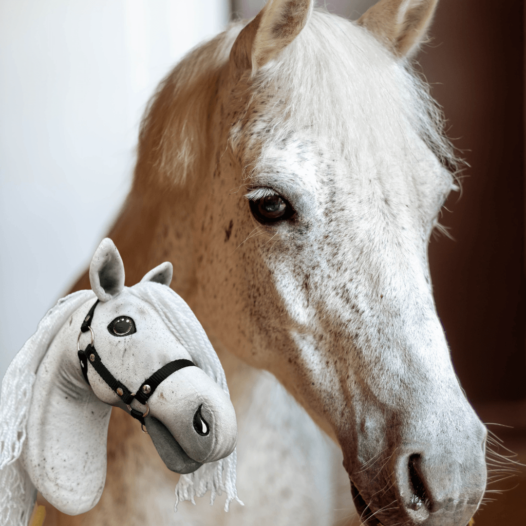 Close-up van een vliegenschimmel naast een lichtgrijze Hobby Horse met witte franjemanen en zwarte halster