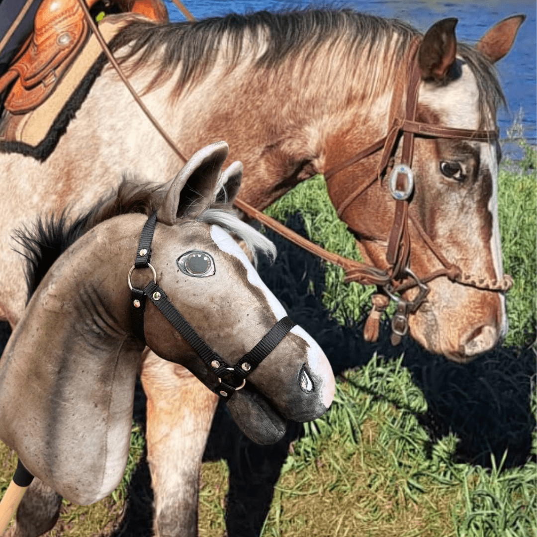 Roan paard met westernhoofdstel aan het water achter een grijsbruine Hobby Horse met witte bles en zwarte halster