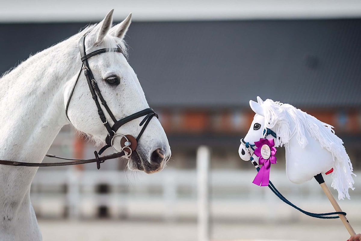 Schimmel met zwart hoofdstel naast zijn witte kopie als Hobby Horse met franjemanen en paarse rozet, met een wit hek erachter