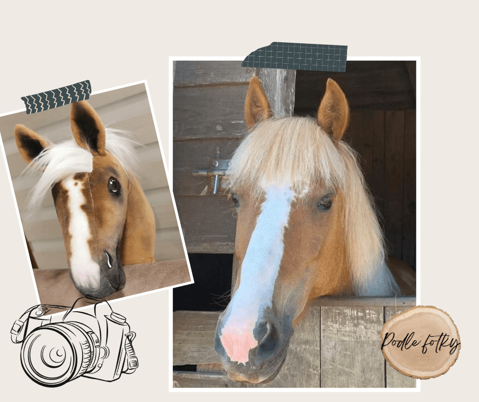 Collage van een palomino Hobby Horse met witte manen en bles naast het echte palomino paard dat uit zijn stal kijkt