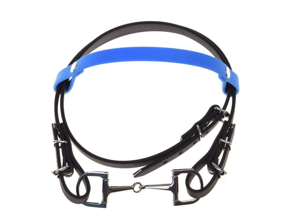 Black bridle with a bright blue browband and a silver snaffle bit, laid out on its own and seen from above