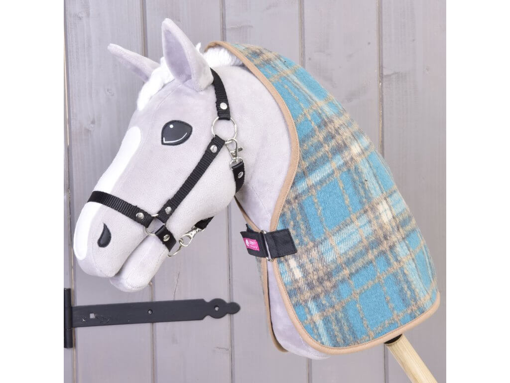 Grey Hobby Horse in a black halter wearing the blue tartan stable blanket over its neck, closed with a black strap