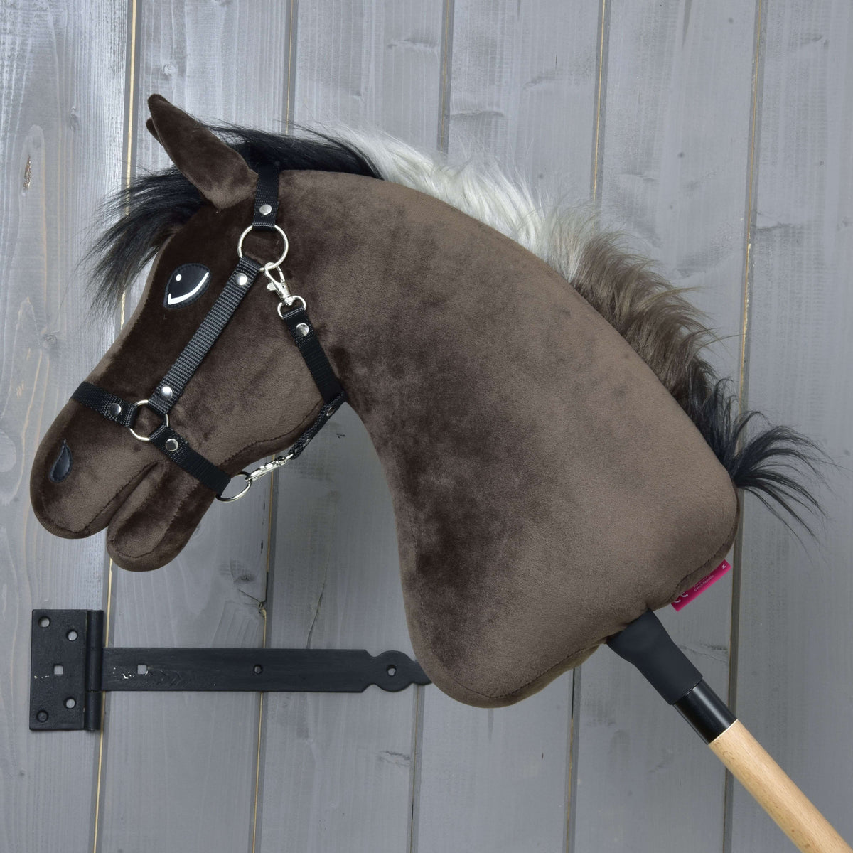 Hobby Horse Alfredo de profil gauche, crinière noire et gris argenté le long de l’encolure brun foncé