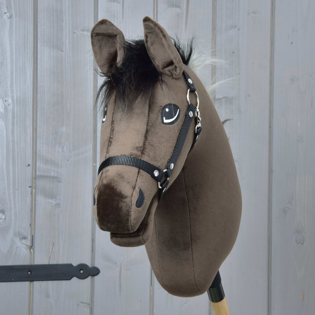 Vue de face du Hobby Horse Alfredo avec toupet noir hirsute, peluche brun foncé et licol noir
