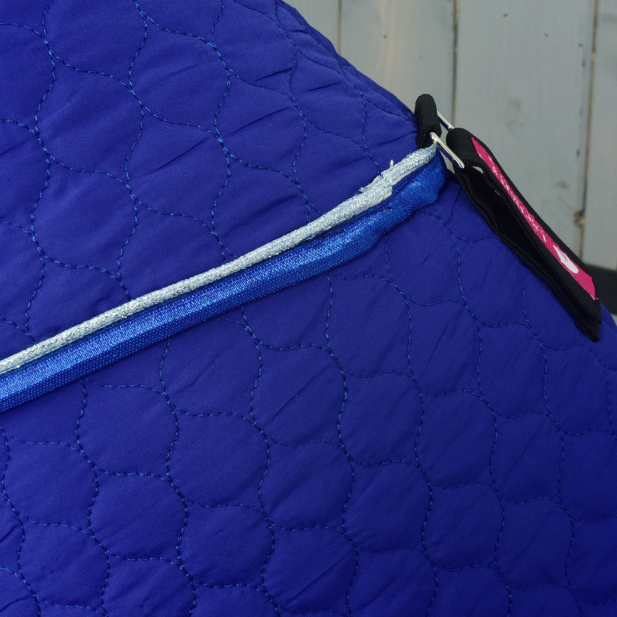 Close-up van de overgang tussen halsstuk en deken Bluebell, met zilveren en blauwe bies en een zwart riempje bij de borst