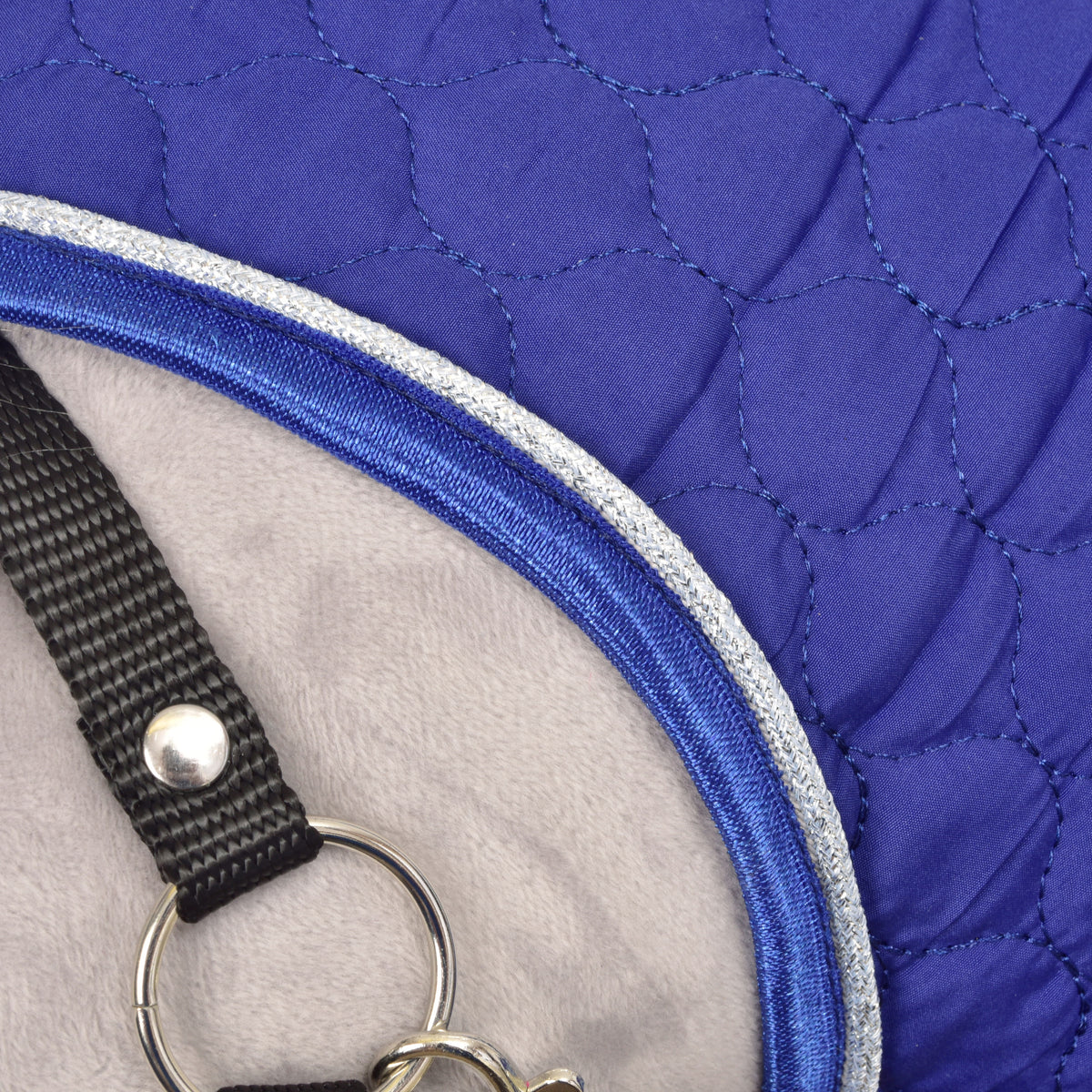 Close-up van de halsrand van de Bluebell met blauwe en zilveren bies naast een zwart halsterbandje, zilveren ring en karabijnhaak