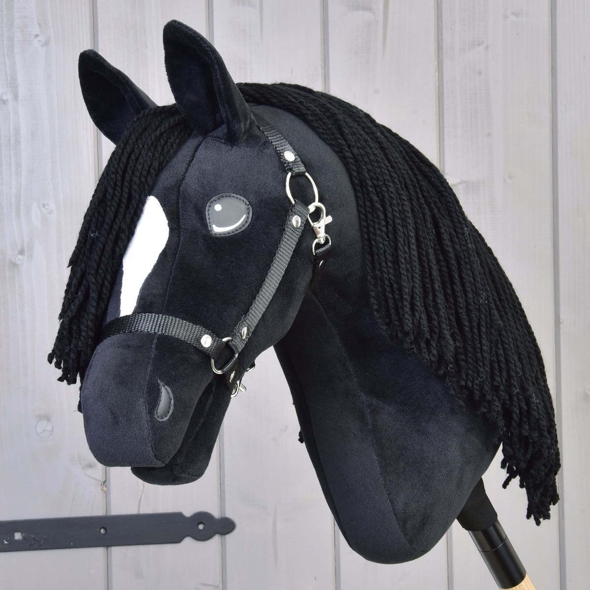 Hobby Horse Cloony turned slightly to the camera, with a white star, grey appliqué eye and black webbing halter