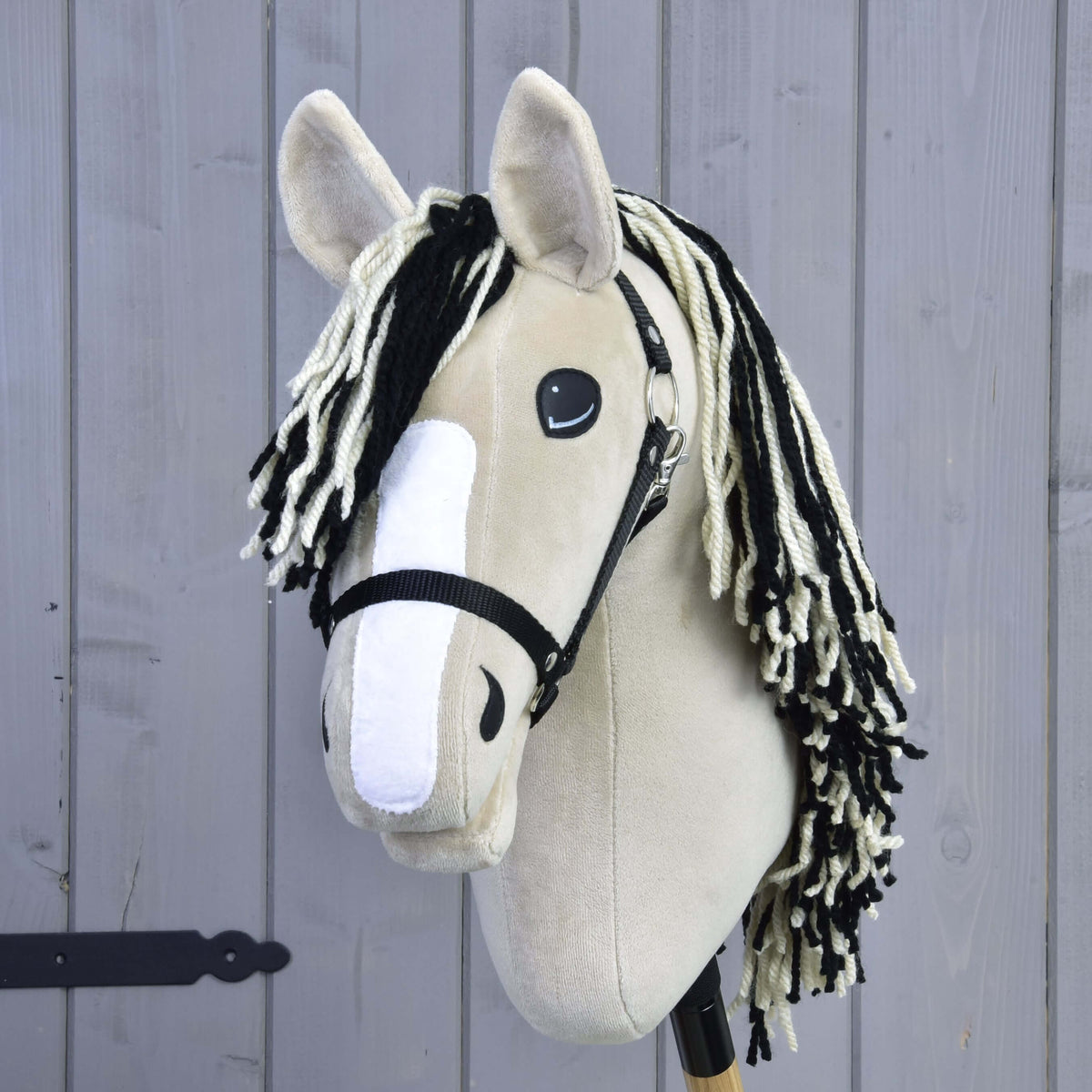 Hobby Horse Aurora vu de face, avec large liste blanche, licol noir et crinière noire et blanche des deux côtés