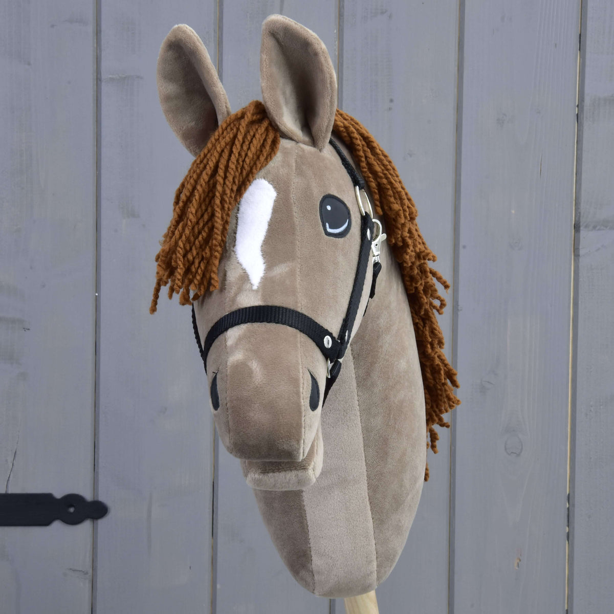 Hobby Horse Oliver seen from the front with a black halter, white marking on the forehead and brown yarn mane on both sides