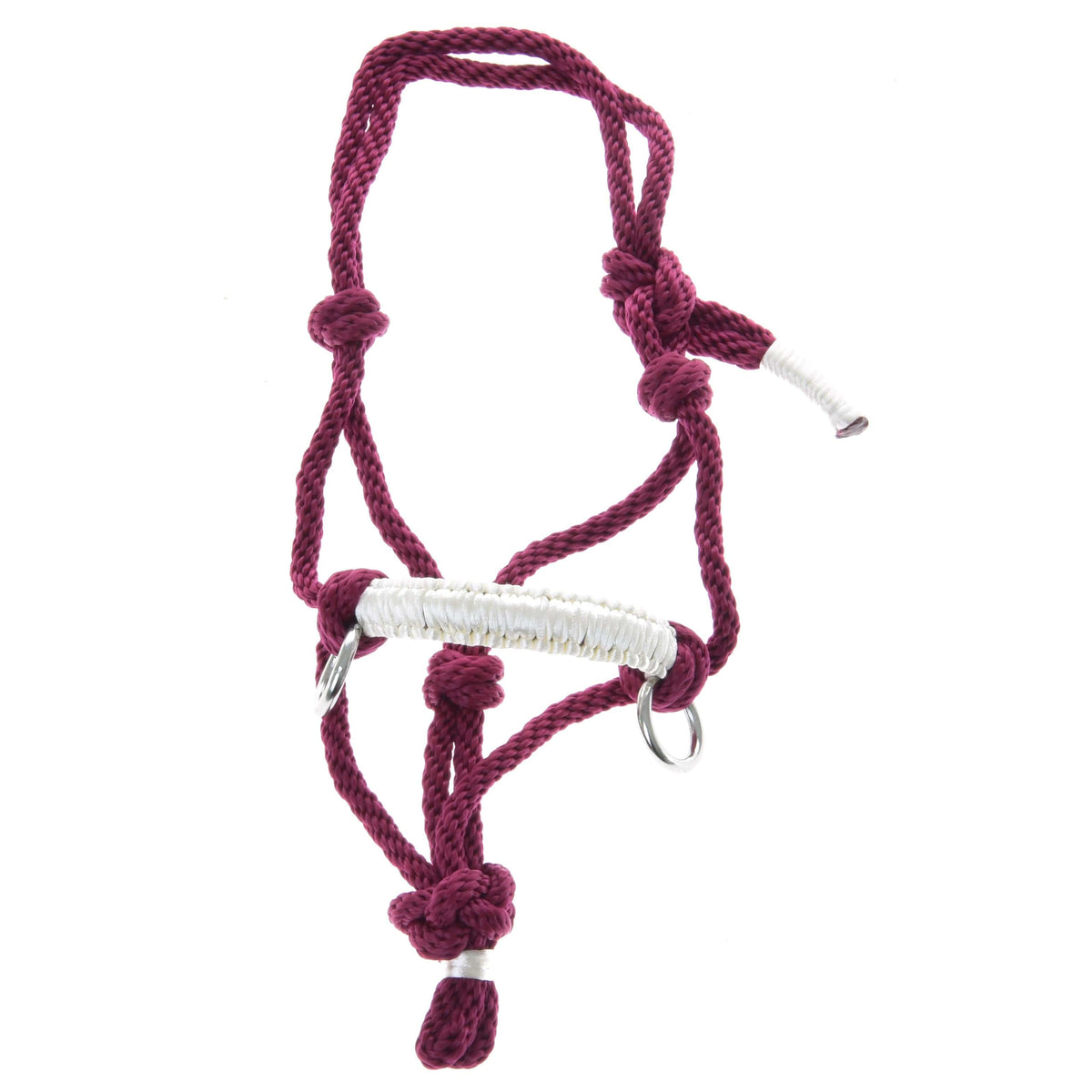 Hobby Horse rope halter Czi-Czi laid out on white: burgundy rope with knots, white noseband and two silver rings