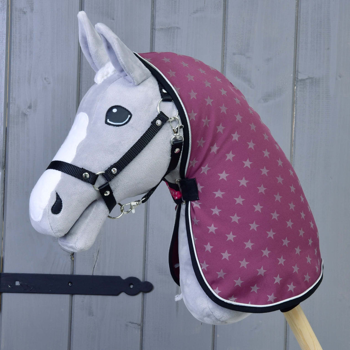 Grey Hobby Horse in a black halter wearing the purple star-print stable blanket with black binding