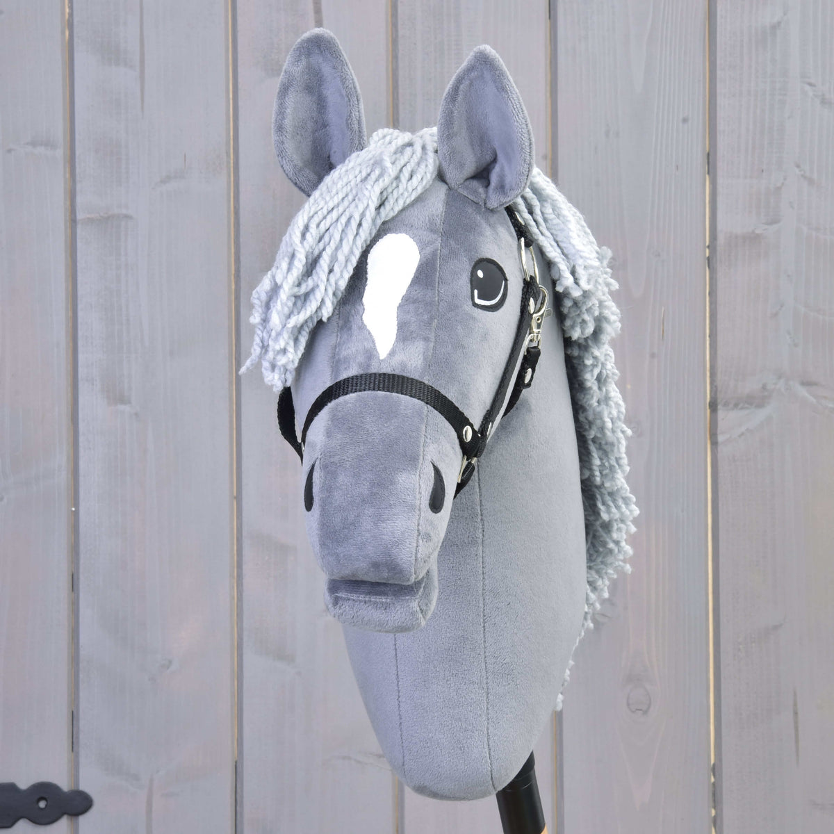 Vooraanzicht van Hobby Horse Grace met witte ster, lichtgrijze voorlok van garen en zwarte halster