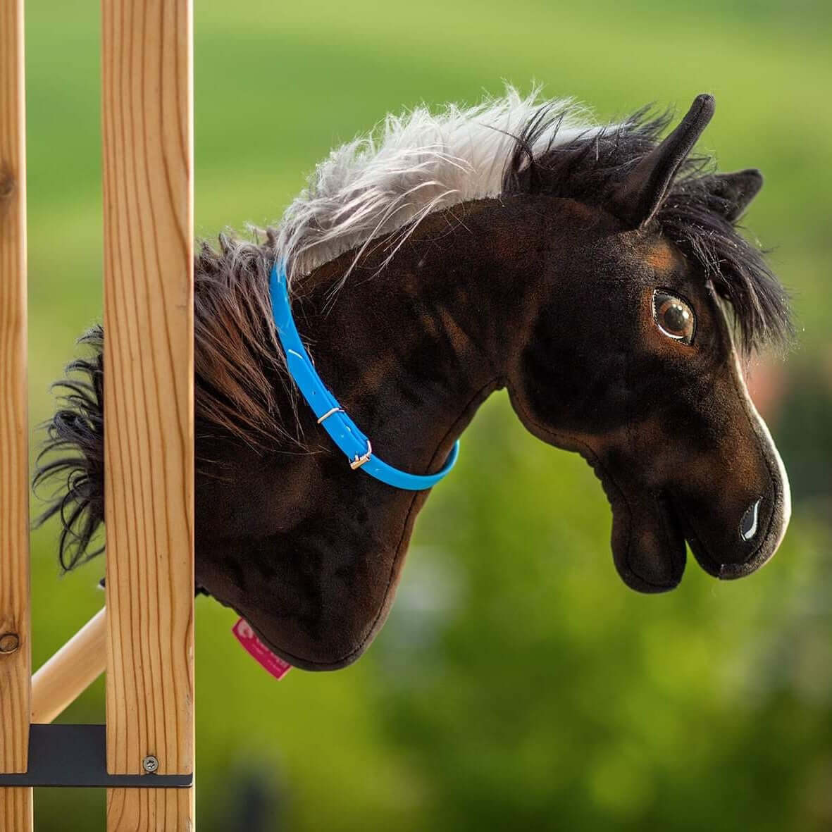 Hobby Horse brun foncé à crinière hirsute grise et noire, portant un cordéo bleu, entre des montants en bois
