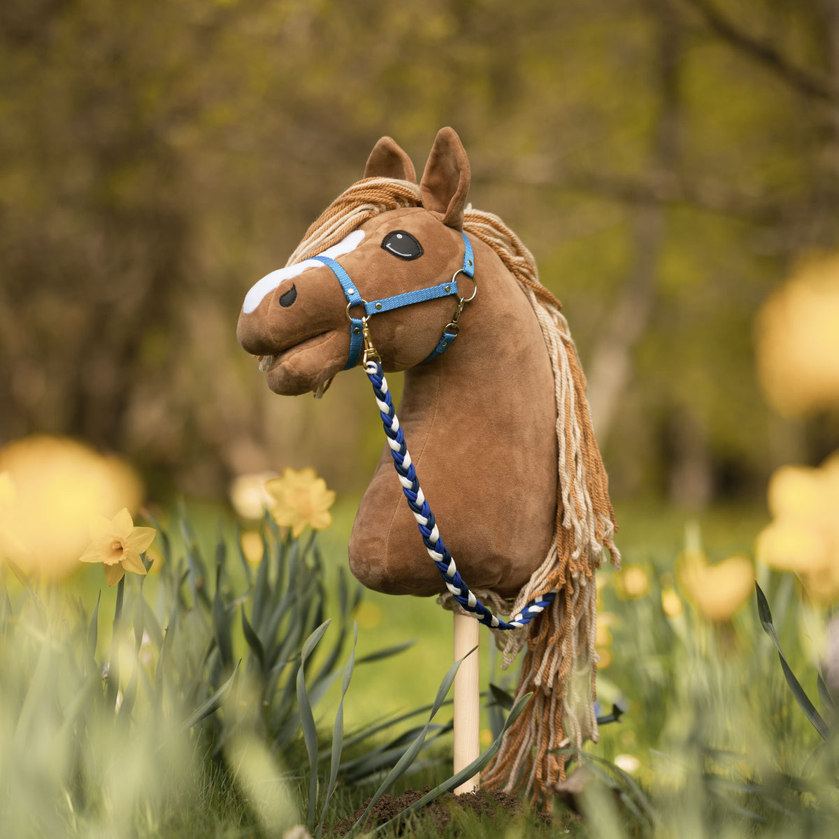 Light brown Hobby Horse with a blue halter and a blue and white braided lead rope standing among yellow daffodils
