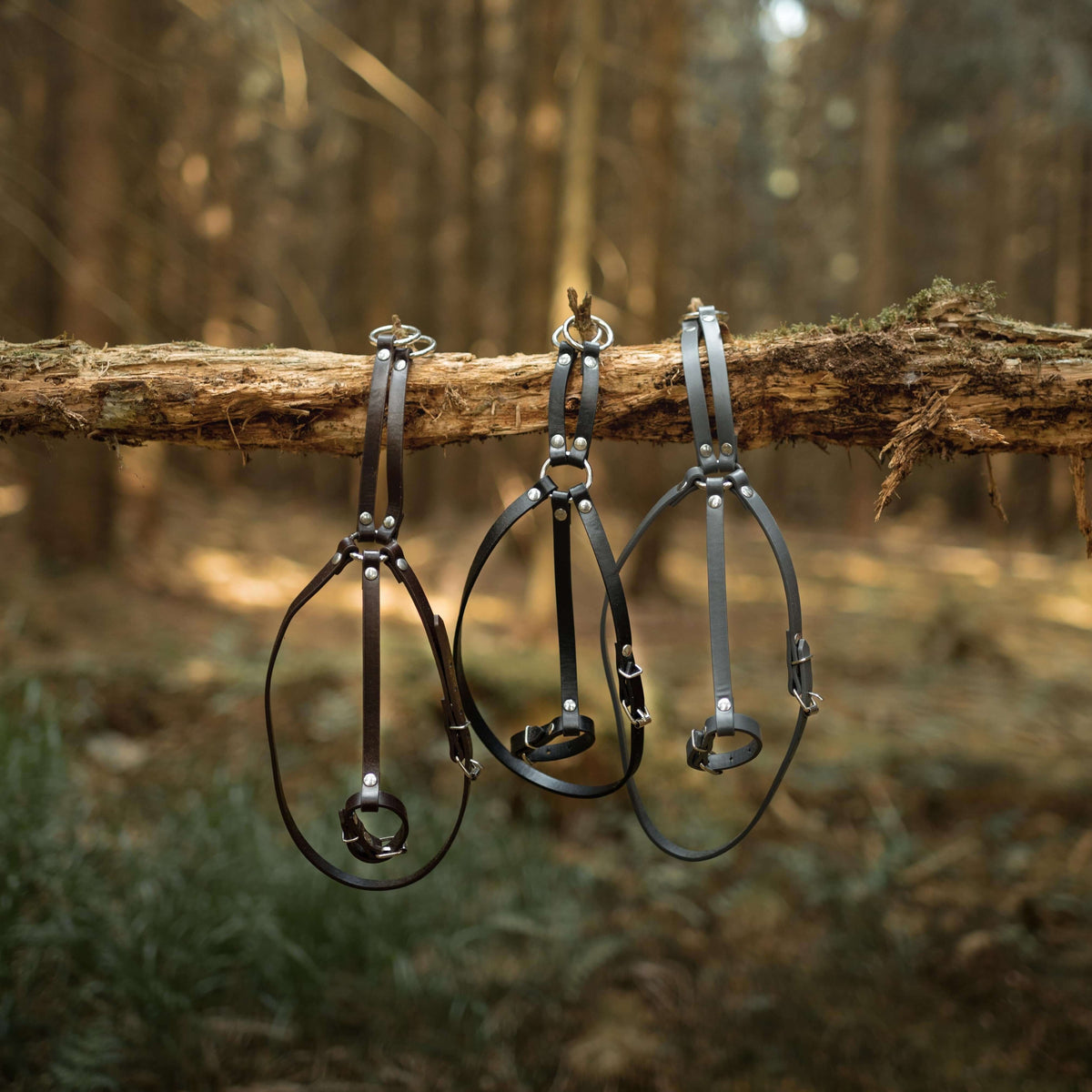 Drie donkerbruine martingalen voor Hobby Horse met zilverkleurige ringen aan een omgevallen tak in het bos