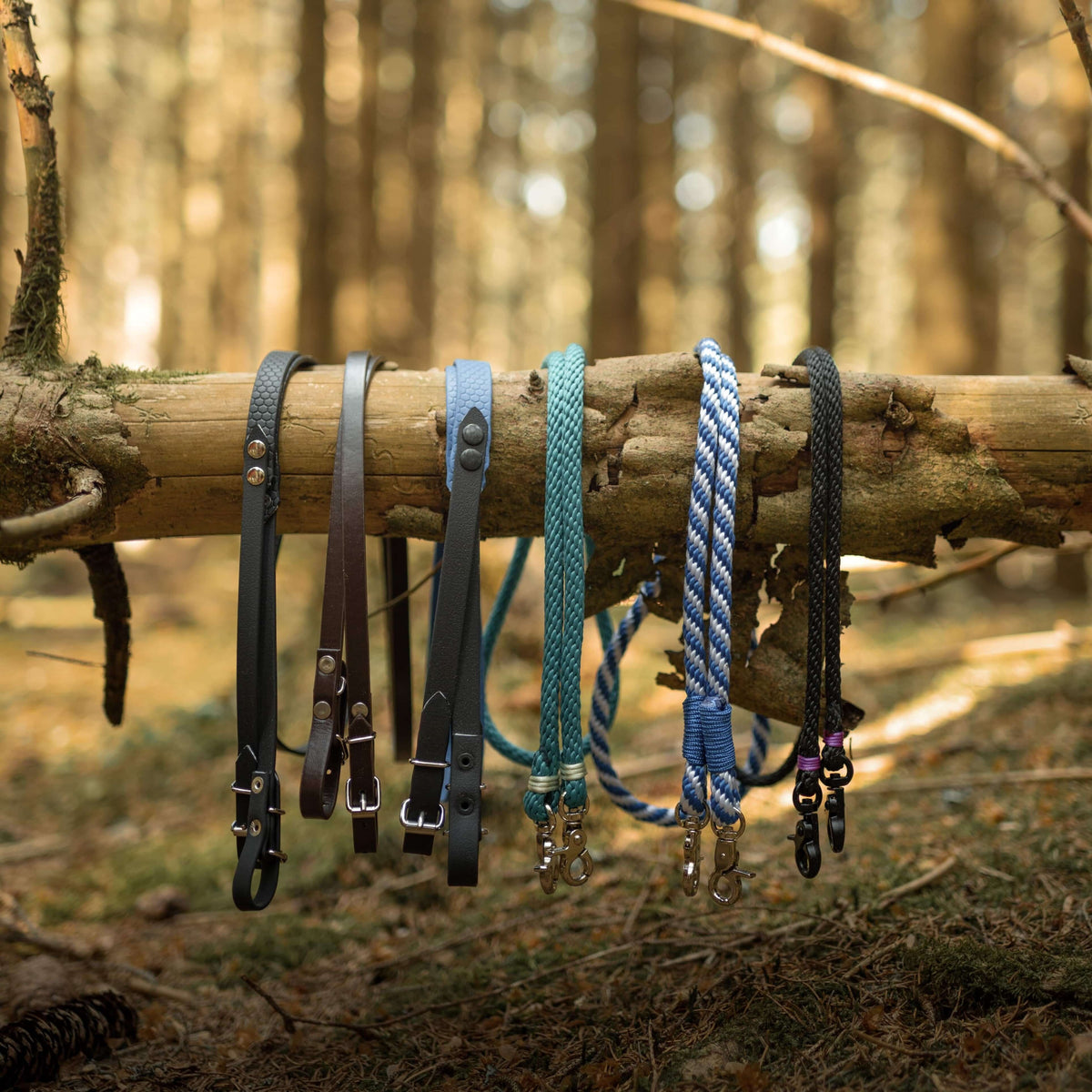 Six paires de rênes pour Hobby Horse en similicuir noir et marron et en corde colorée, sur une branche tombée en forêt ensoleillée