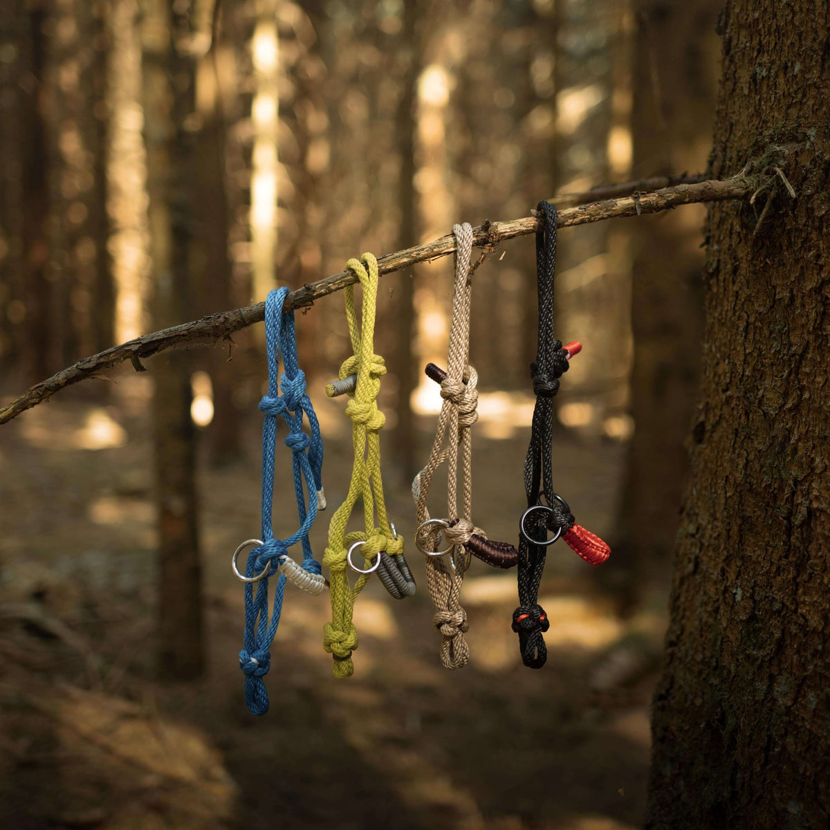 Quatre licols en corde pour Hobby Horse, bleu, jaune, beige et noir, suspendus à une branche dans une forêt ensoleillée