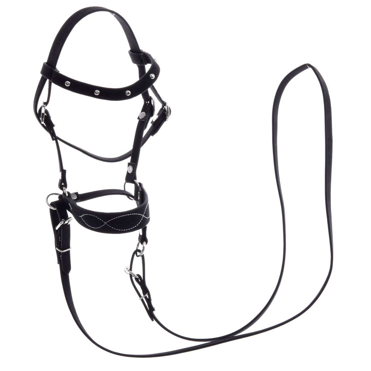 The bitless bridle laid out on white: studded black browband, noseband with infinity stitching and long black reins