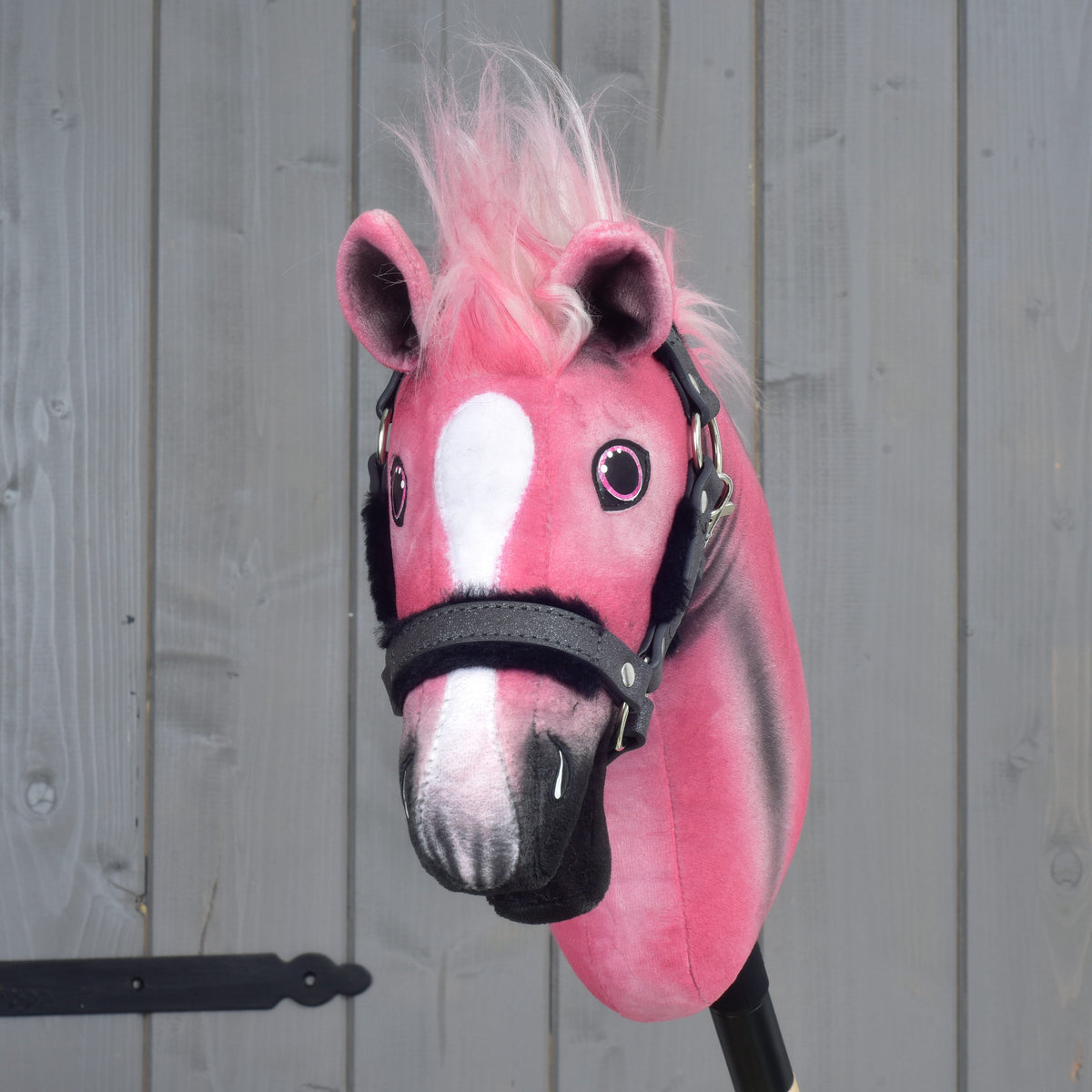 Hobby Horse Pinkie van voren, witte bles op het roze hoofd, roze omrande ogen en roze lok tussen de oren