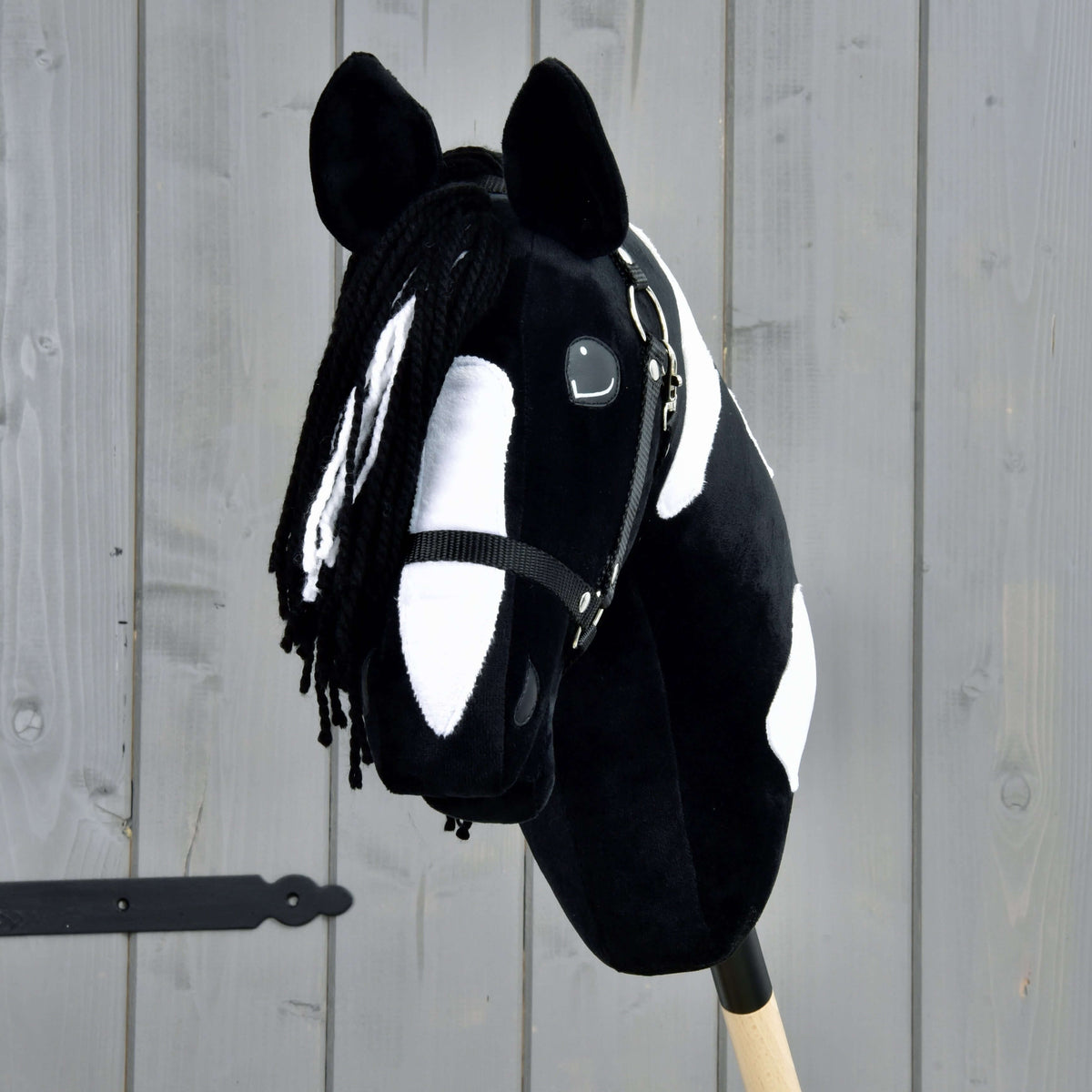 Hobby Horse Merlin with Black Halter from the front, black yarn forelock with white strands over a wide white blaze