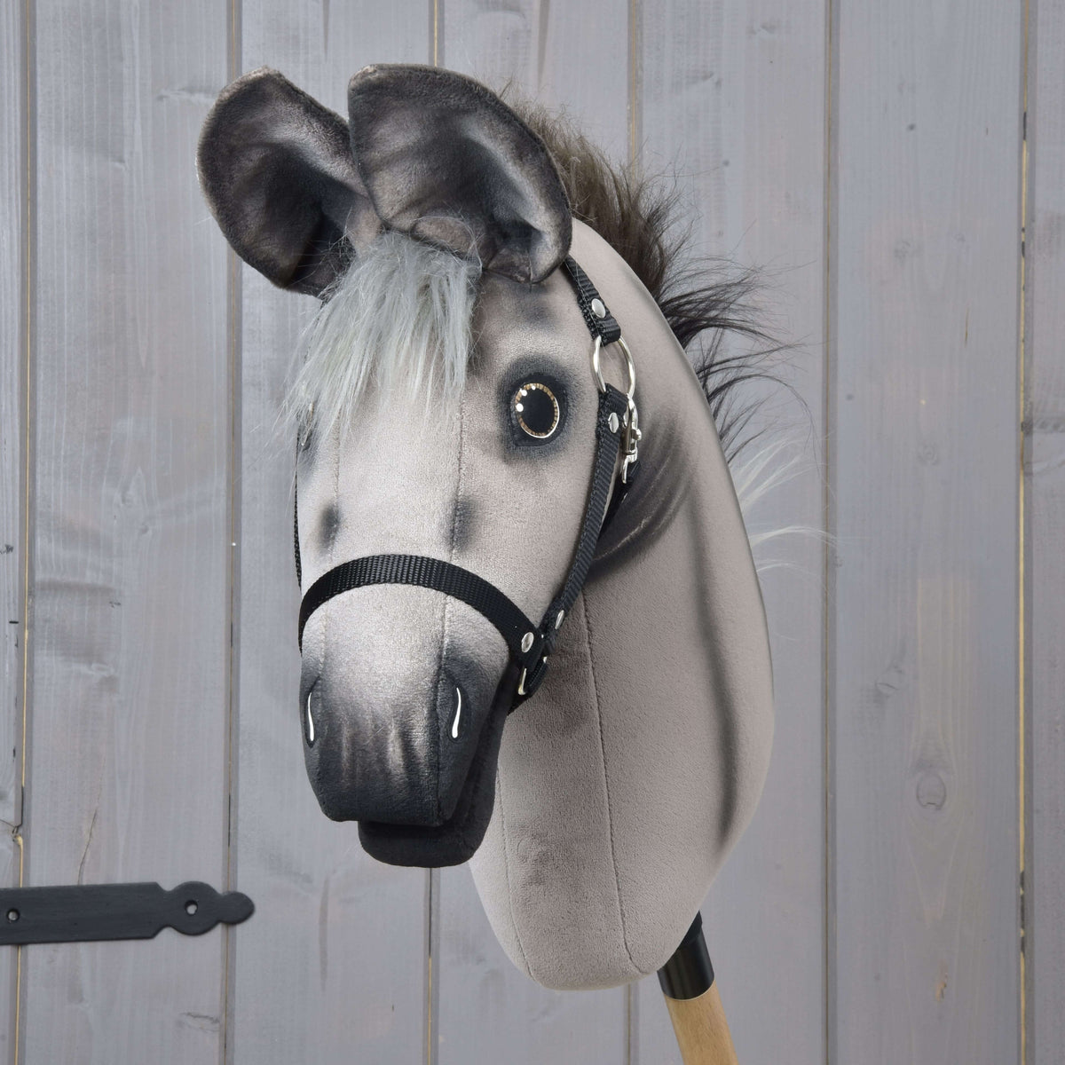 Vooraanzicht van Hobby Horse Ezel Olin met grote donkere oren, grijze voorlok, donker omrande ogen en zwarte halster
