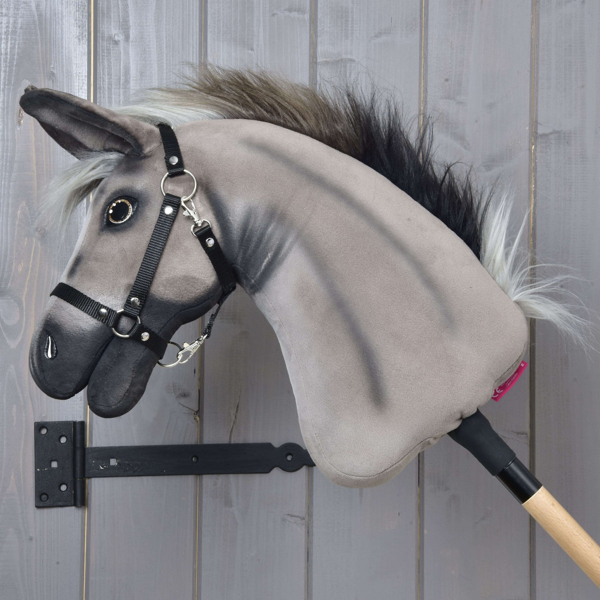 Hobby Horse Ezel Olin van links in profiel met donkere schaduwen op de grijze hals, zwarte neus en pluizige grijszwarte manen