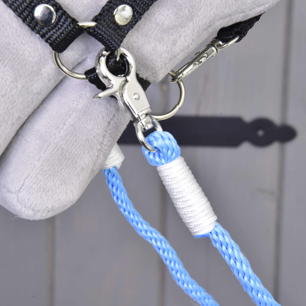 Close-up of the sky blue rope reins with white whipping and a silver snap clip on the black halter ring