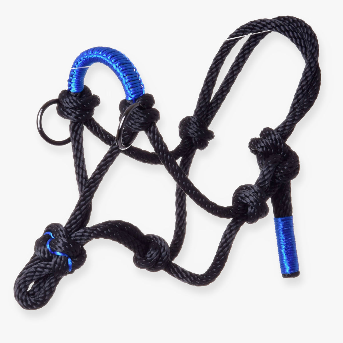 Hobby Horse Touwhalster Azure van LarDen van zwart touw met knopen, koningsblauw omwikkelde neusriem en zwarte ringen