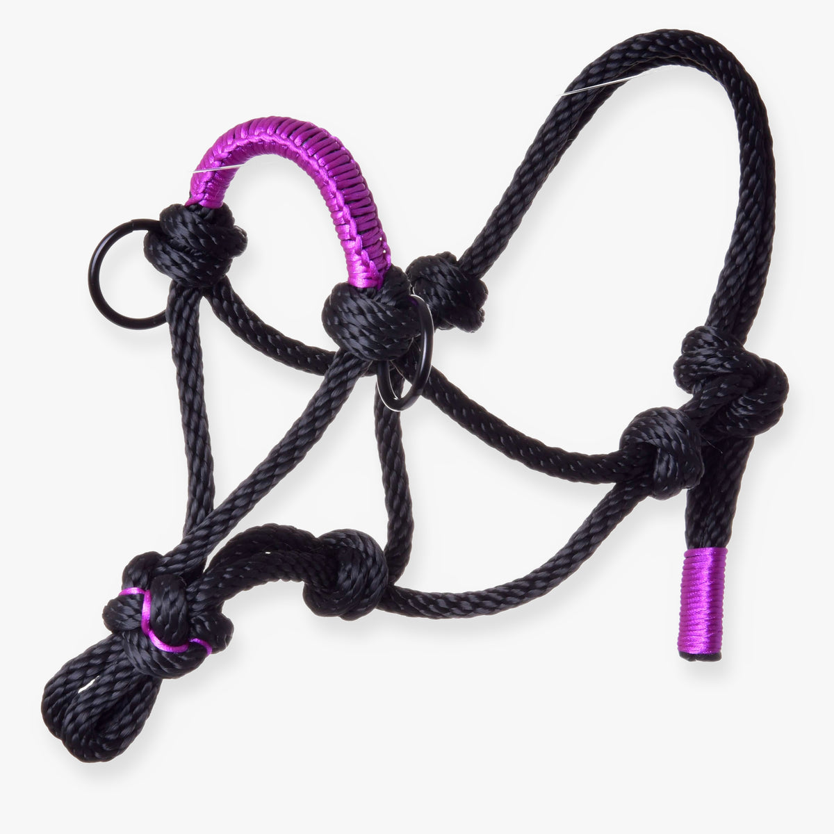 Hobby Horse Licol en corde Violette de LarDen en corde noire à nœuds, muserolle gainée de violet et anneaux noirs