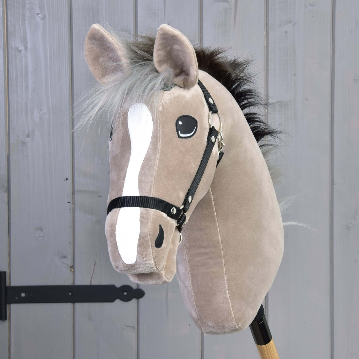 Vooraanzicht van Hobby Horse Piccolino met lange witte bles, zilvergrijze voorlok en zwarte halster tegen grijs hout