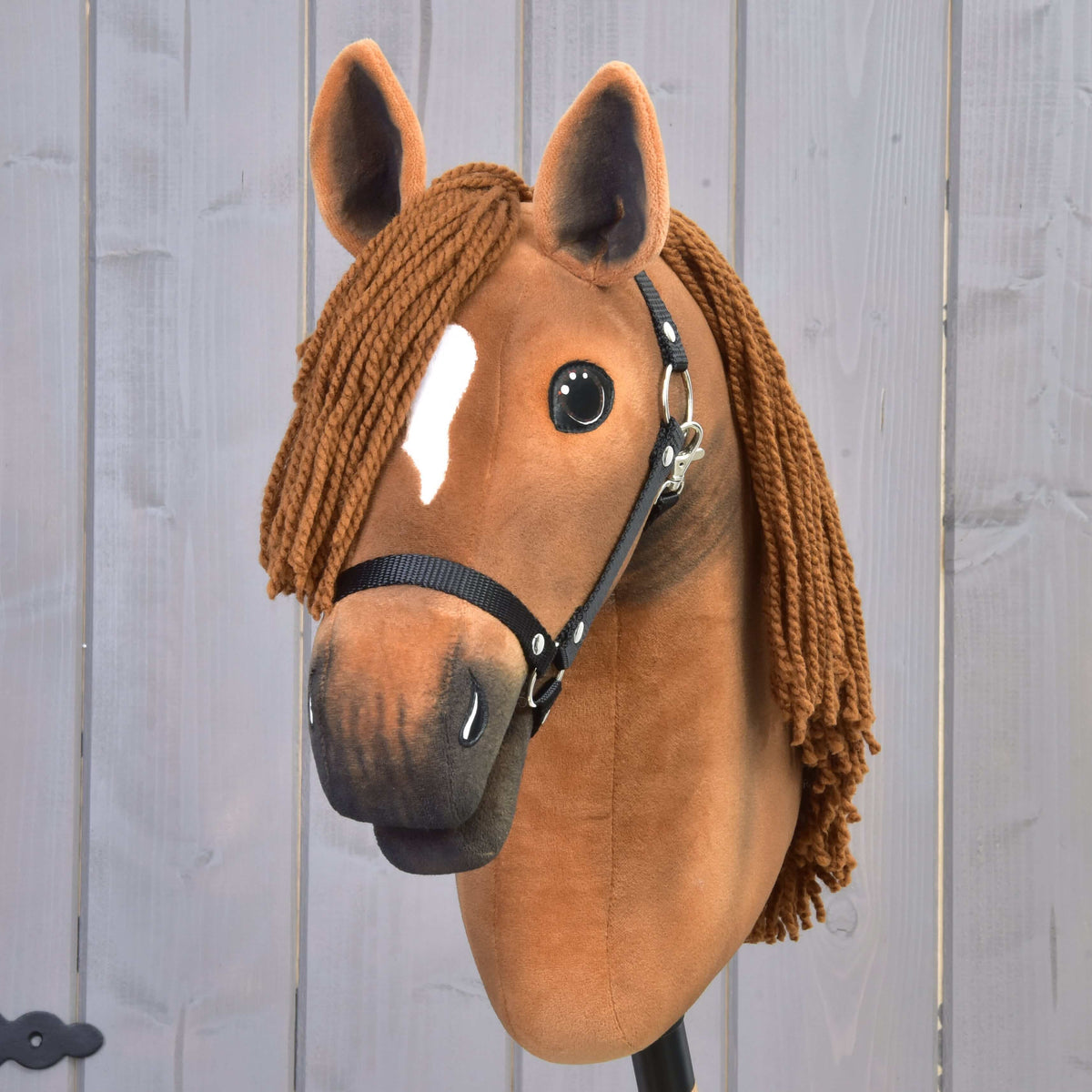 Vue de face du Hobby Horse Pippa avec petit trait blanc, toupet brun en fil et licol noir